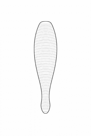 Leech (3.25")